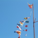 DSCF0041