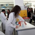 Progetto Nazionale Lauree scientifiche